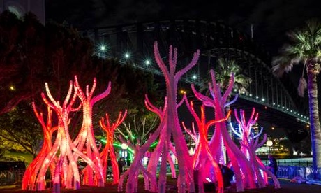 Enchanted forest at Vivid. 