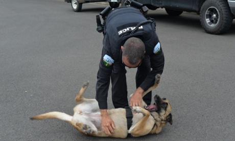 Dora the police dog.