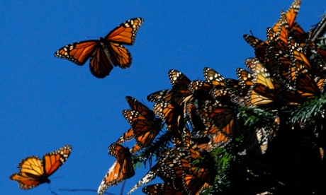 I want to inspire and motivate children in care to realise their potential.