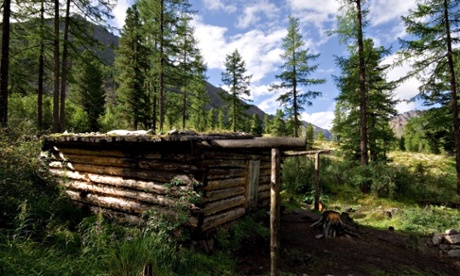 The forests that cover 45% of Russian land account for 22% of the world’s forests.