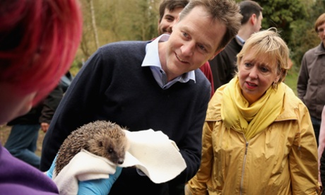 Nick Clegg looks at a hedgehog with the Lib Dem candidate for Solihull, Lorely Burt,  during a visit to a hedgehog home building project at Parkridge wildlife centre in March.