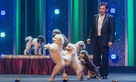 The Olate Dogs doing their thing on Saturday Night at the Paladium.