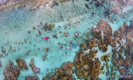 Coral Garden by Marama on Dronestagr.am.