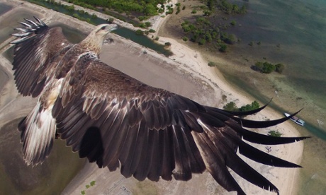Bali Barat by Capungaero on Dronestagr.am.