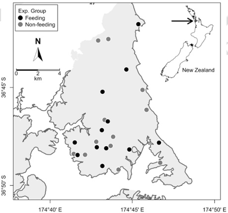 map birdfeeding study