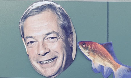 Nigel and Fish