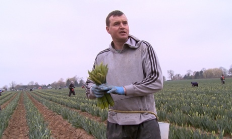 A British worker picks flowers in Boston.