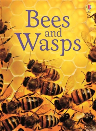 bees and wasps