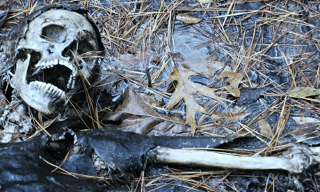 Life after death: the science of human decomposition