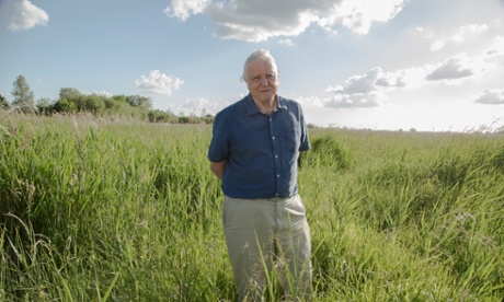 David Attenborough's Conquest Of The Skies.