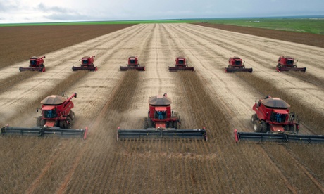 Combines harvest soybeans in Mato Grosso, Brazil. Deforestation caused by soy production has become a growing problem in the region.
