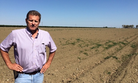 todd allen california farmer mendota