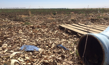 fallow field california drought mendota