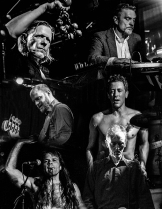 Swans: 'Total physical and psychic commitment.'