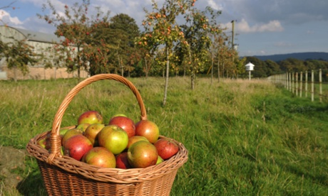 Do you have a favourite cider recipe?