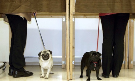 Paws for thought … it’s time to vote for songs about promises.