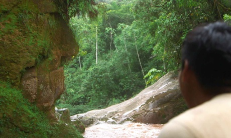 The 'Harakbut Face' in the south-east Peruvian Amazon.  