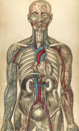 adventures in human being review