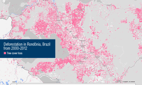 Global Forest Watch.
