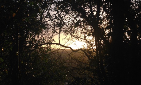 Edgelands are spaces we instinctively explore as children.