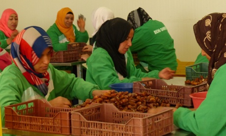 Sorting dates by hand in Tunisia