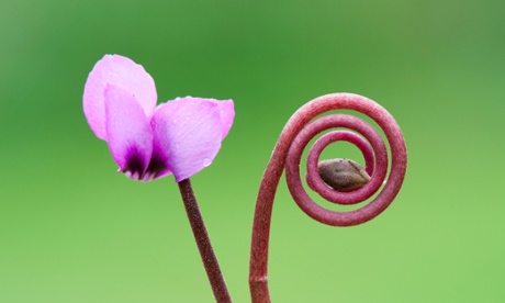 The context in which the European economy needs to assert itself is increasingly being shaped by interdependence.