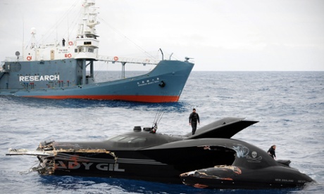 The Sea Shepherd's ship Ady Gil, after it collided with Japanese whaling vessel Shonan Maru No 2.