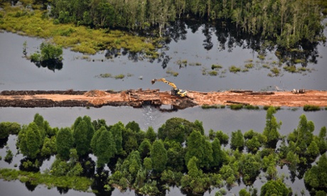 An aerial view of of an excavator working on the construction of a road in the Sumatran forest. The demand for palm oil has had a devastating impact on trees in southeast Asia.