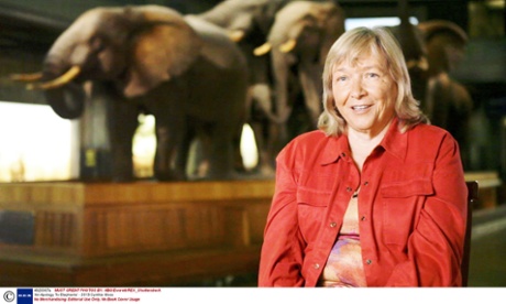 Cynthia Moss featured in 'An Apology To Elephants'