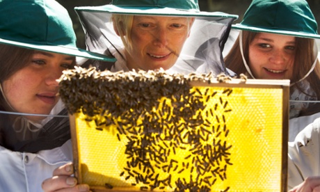 Golden time: Tilda Swinton and students collect honey from Andrew Abrahams's bee hives