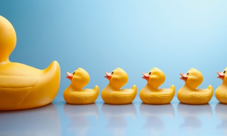 Family of rubber ducks