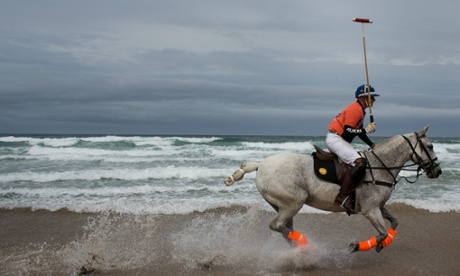 Horses are used for a number of sport and leisure activities including beach polo.