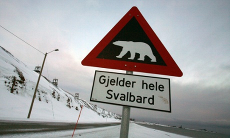 Bear-faced warning in Svalbard.