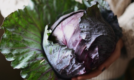 Large and luscious – the not so humble cabbage.