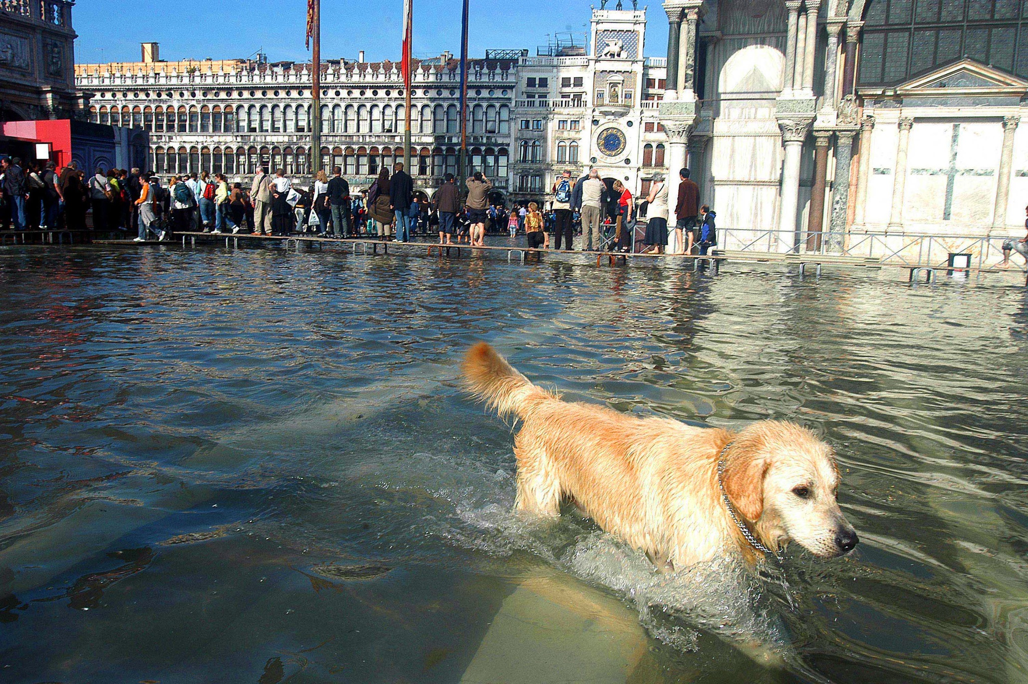 A history of flooding in the sinking city of Venice in pictures