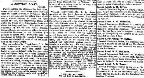 The Manchester Guardian, 25 June 1915.