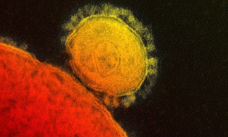Colorised transmission of the Mers coronavirus. A man in Germany has died after complications following treatment for the virus.