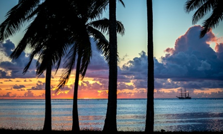 Sunset with palm trees