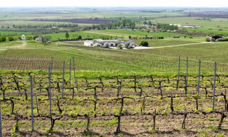 Disznók¿ Winery, Hungary