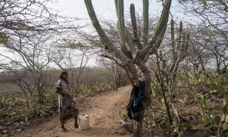 Flamini Gómez Uriana carries water from a well to the the little settlement of Talorumana.