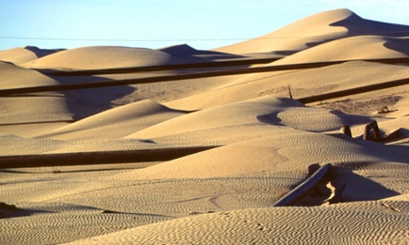 Bid undervalues Turkmenistan producer Dragon Oil , says key investor.