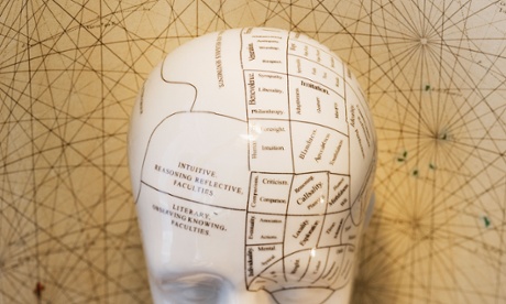 Close up of a phrenology head diagram