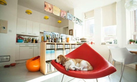 Pedro Santos's dog, Pedro Junior (PJ)