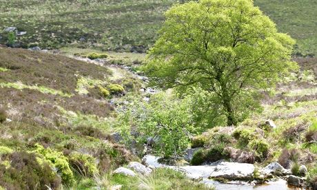 Sally Gap Co Wicklow