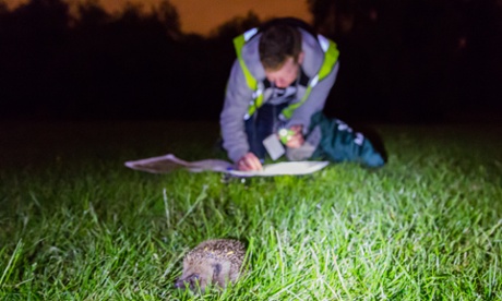 Regent Park’s hedgehog population was uncovered by surveys carried out in 2014 by the Royal Parks Foundation.