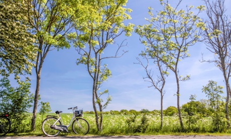 Spring trees with bicycle on Bornholm, Denmark.