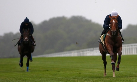 Chad Schofield and Criterion leave their galloping rivals trailing at Ascot