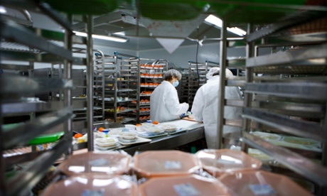 Compass Group provides catering services to more than 1,500 primary schools in the UK.