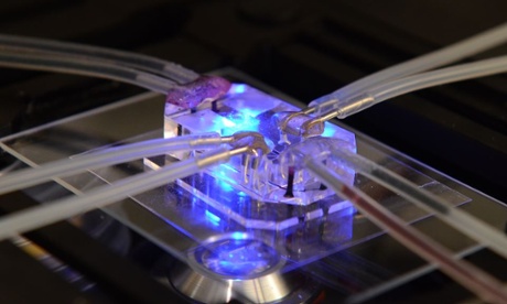 This tiny transparent block is the future of medicine