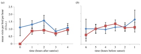 ￼￼￼Figure 1. Mean (+1 s.e.) feeder visits per hour per bird for the first and last 4 h of data against time for control (blue diamonds) and fluoxetine-treated birds (red squares). Time is expressed relative to sunrise (a) and sunset (b) and so the 4 h period for which observations were taken depended upon the time when birds first fed in the morning and last fed at night. (Online version in colour.).